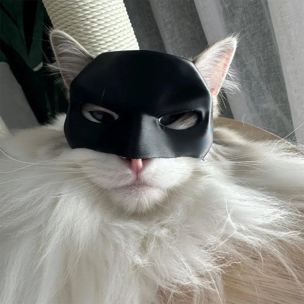 NIGHTCAT // Black Bat Cat Mask